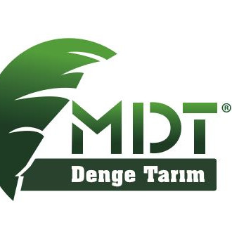 DENGE